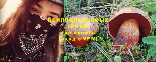 крисы Бугульма