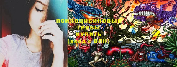 прущая мука Бородино