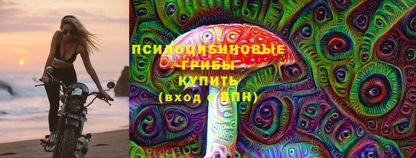 прущий лед Богородицк