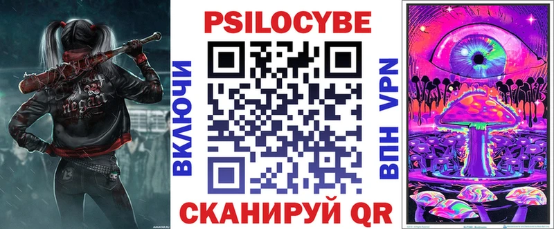 KRAKEN Вятские Поляны Псилоцибиновые грибы мицелий