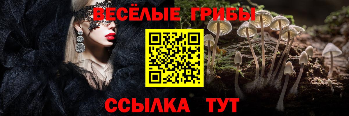 Вятские Поляны  Галлюциногенные грибы Psilocybe  Вход с VPN  Псилоцибиновые грибы Psilocybe 