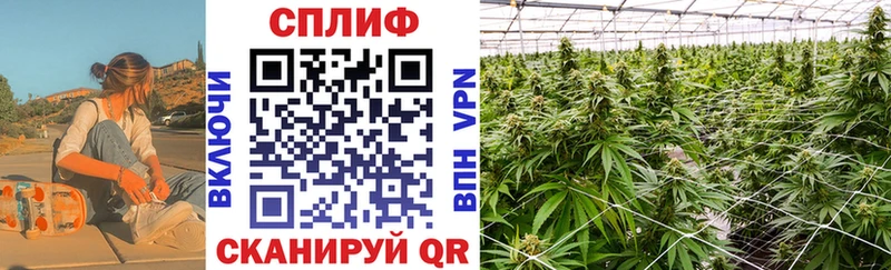 МАРИХУАНА Ganja  Вятские Поляны 